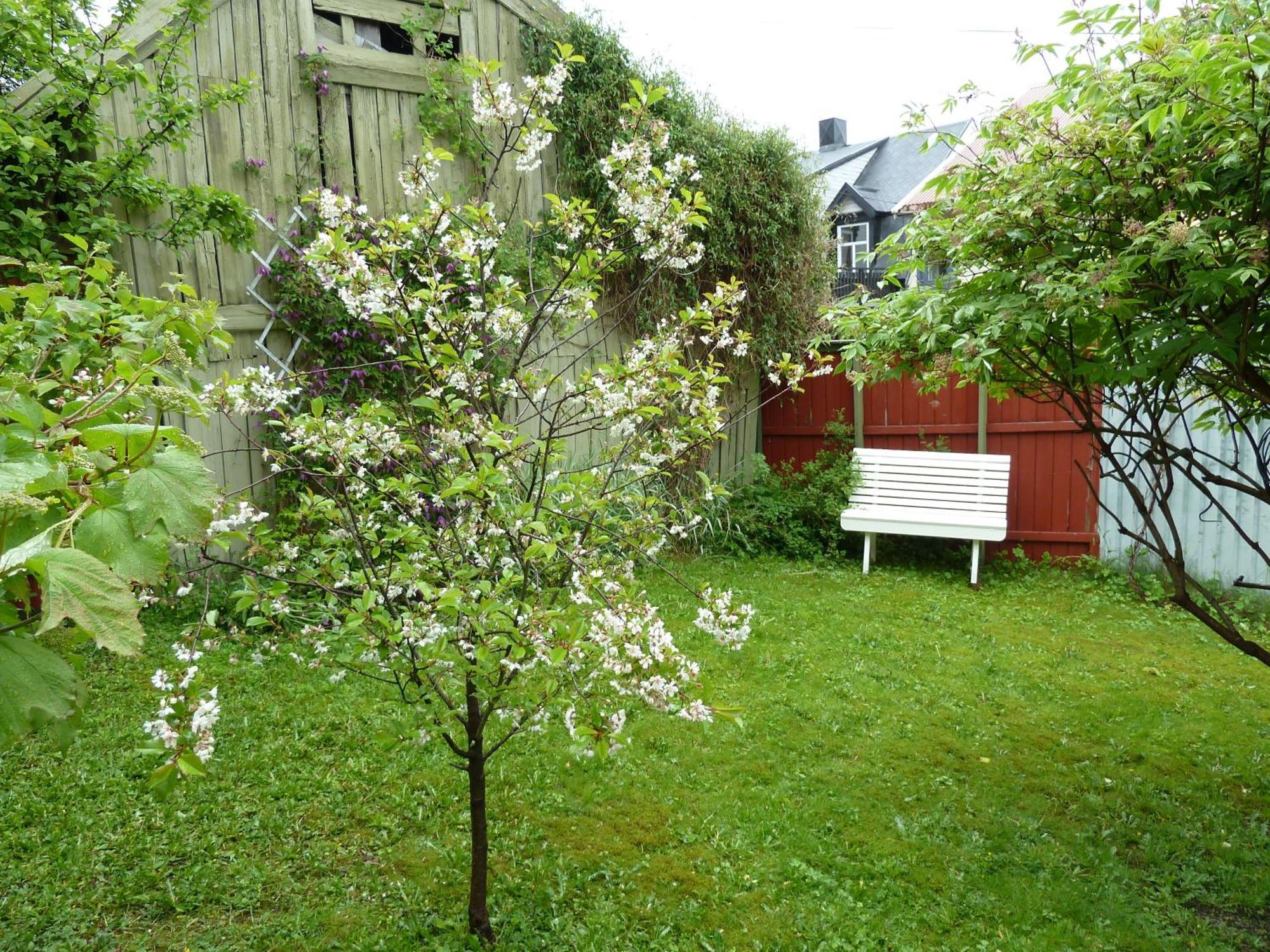 Red Old House Tromso Apartment Exterior foto